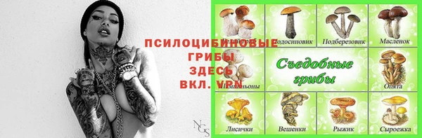 молекула духа Алексин