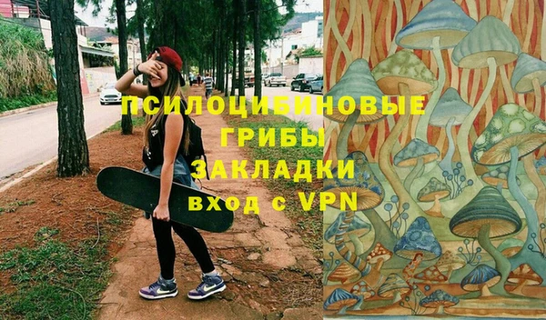молекула духа Алексин