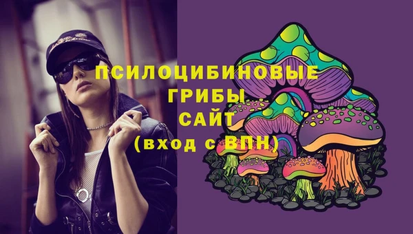 молекула духа Алексин