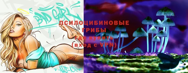 молекула духа Алексин