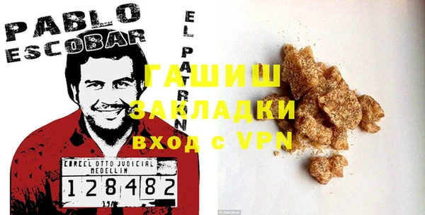 шишки Инта
