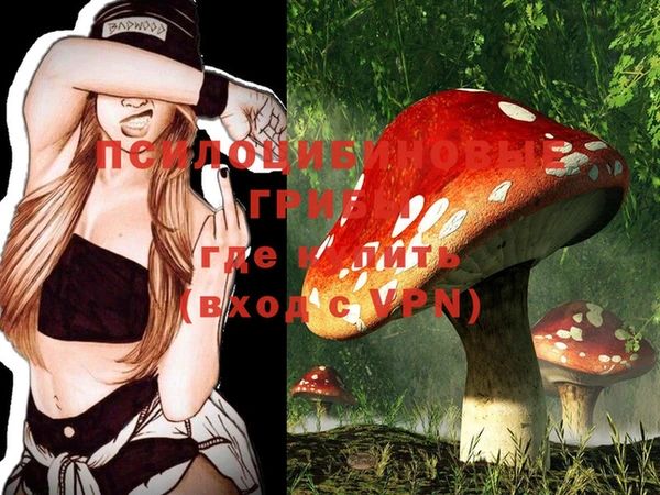 PSILOCYBIN Алзамай