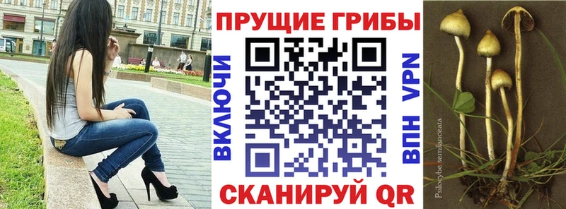 kraken маркетплейс  Березники  Галлюциногенные грибы прущие грибы 